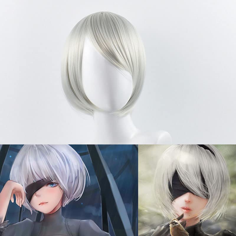 Krótkie srebrne peruki Cosplay – Men'S Accessories Types recenzja i cena